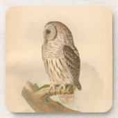 Illustratie van Barred Owl Bier Onderzetter (Voorkant)