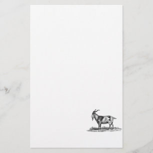 Illustratie van  binnenlandse geiten - geiten van  briefpapier