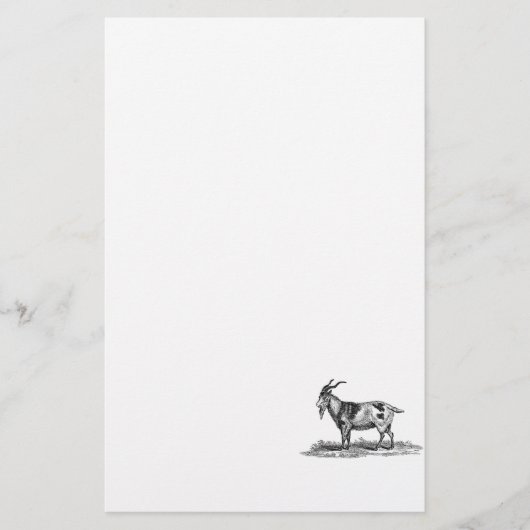 Illustratie van  binnenlandse geiten - geiten van  briefpapier (Voorkant)