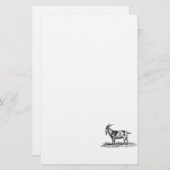 Illustratie van  binnenlandse geiten - geiten van  briefpapier (Voorkant / Achterkant)