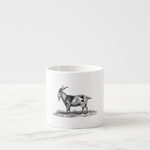 Illustratie van  binnenlandse geiten - geiten van  espresso kop