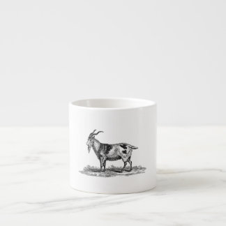 Illustratie van binnenlandse geiten - geiten van espresso kop