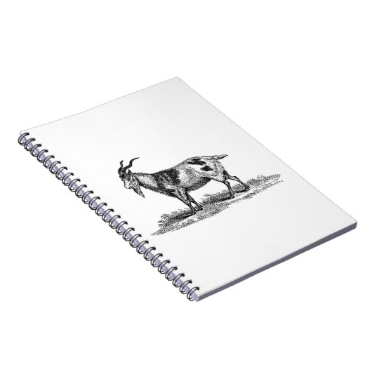 Illustratie van  binnenlandse geiten - geiten van  notitieboek (Rechterzijde)