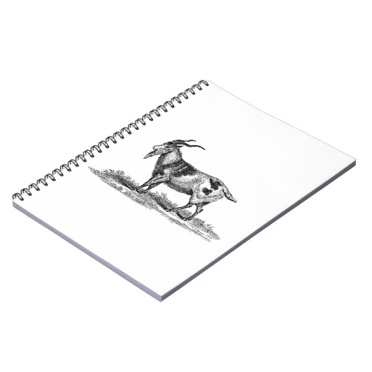 Illustratie van  binnenlandse geiten - geiten van  notitieboek (Linkerzijde)