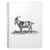 Illustratie van  binnenlandse geiten - geiten van  notitieboek (Voorkant)