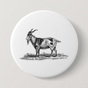Illustratie van  binnenlandse geiten - geiten van  ronde button 7,6 cm