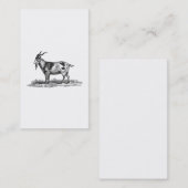 Illustratie van  binnenlandse geiten - geiten van  visitekaartje (Voorkant / Achterkant)