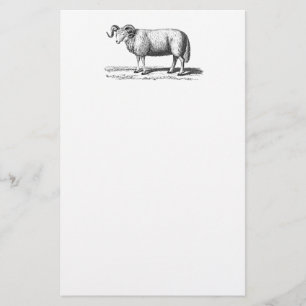  illustratie van binnenlandse schapen - 1800-kwam briefpapier