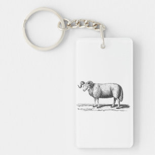  illustratie van binnenlandse schapen - 1800-kwam sleutelhanger