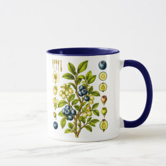 Illustratie van blauwe bes in vintage botanische s mok