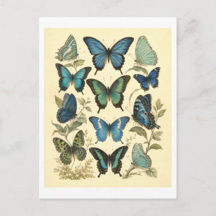Illustratie van blauwe vlinders in vintage stijl briefkaart