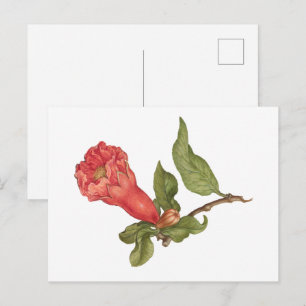 Illustratie van bloeiende granaatappelbloem in vin briefkaart
