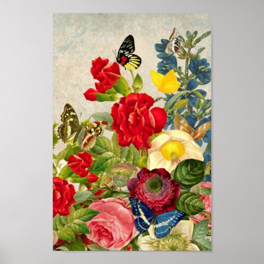 Illustratie van  bloemen/vlinders poster (Voorkant)