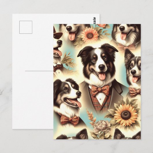 Illustratie van border collie briefkaart (Voorkant / Achterkant)
