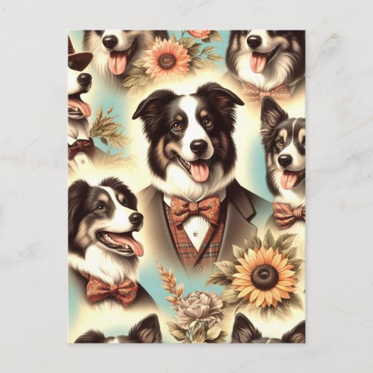 Illustratie van  border collie briefkaart (Voorkant)
