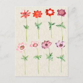 illustratie van botanische anemie briefkaart
