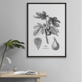 illustratie van botanische tekening poster