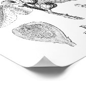  illustratie van botanische tekening poster (Hoek)