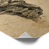  illustratie van Botten Menselijke wervelkolom Poster (Hoek)