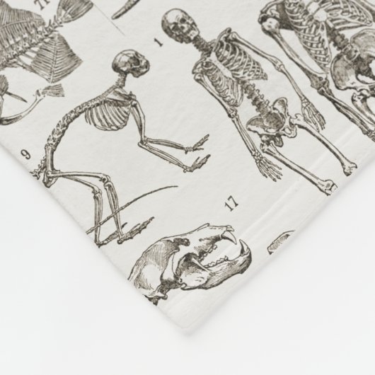  illustratie van Botten van mens en dier Fleece Deken (Hoek)