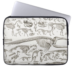illustratie van Botten van mens en dier Laptop Sleeve