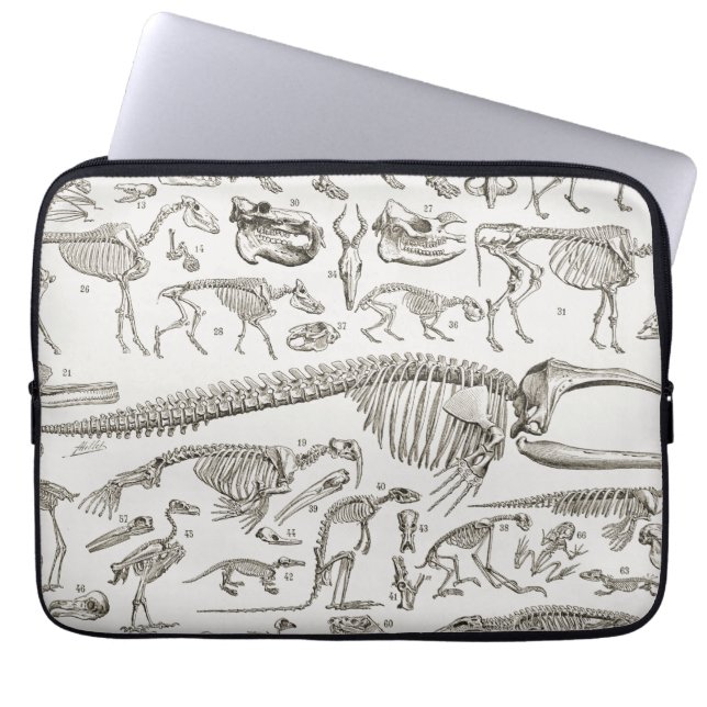  illustratie van Botten van mens en dier Laptop Sleeve (Voorkant)