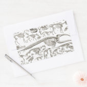 illustratie van Botten van mens en dier Rechthoekige Sticker (Envelop)