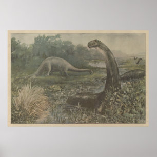  illustratie van Brachiosaurus Dinosaurus Poster