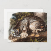 Illustratie van Canada Lynx (Lynx Canadensis) Briefkaart (Voorkant / Achterkant)