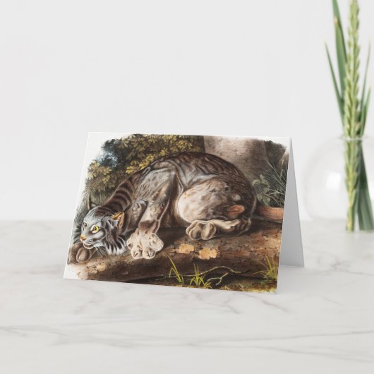 Illustratie van Canada Lynx (Lynx Canadensis) Kaart (Voorkant)