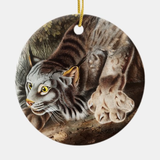 Illustratie van Canada Lynx (Lynx Canadensis) Keramisch Ornament (Voorkant)