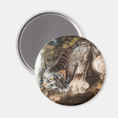 Illustratie van Canada Lynx (Lynx Canadensis) Magneet (Voorkant / Achterkant)