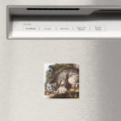 Illustratie van Canada Lynx (Lynx Canadensis) Magneet (Insitu (Vaatwasser))