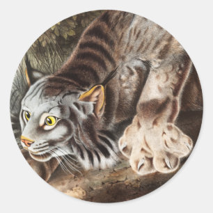 Illustratie van Canada Lynx (Lynx Canadensis) Ronde Sticker
