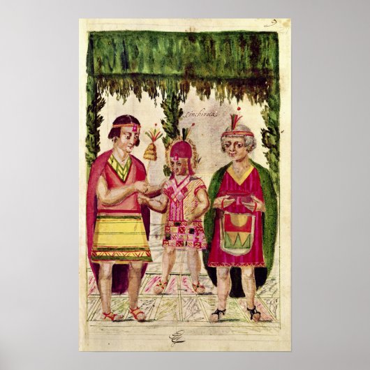 Illustratie van Cincheroca Poster (Voorkant)