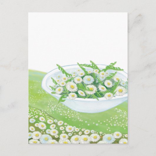 Illustratie van Daisy en Dandelion Spring Salad Feestdagenkaart (Voorkant)