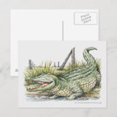 Illustratie van de alligator aan de wal briefkaart (Voorkant / Achterkant)