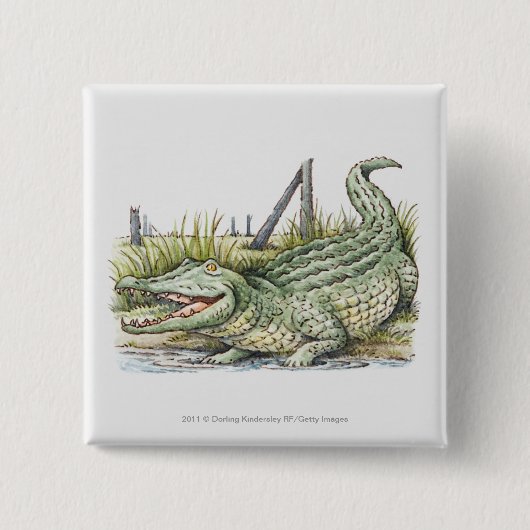 Illustratie van de alligator aan de wal vierkante button 5,1 cm (Voorkant)