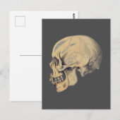  illustratie van de anatomie van de schedel briefkaart (Voorkant / Achterkant)