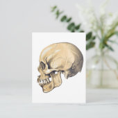  illustratie van de anatomie van de schedel briefkaart (Staand voorkant)