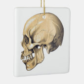 illustratie van de anatomie van de schedel keramisch ornament (Rechts)