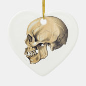  illustratie van de anatomie van de schedel keramisch ornament (Voorkant)