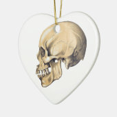 illustratie van de anatomie van de schedel keramisch ornament (Links)