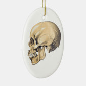 illustratie van de anatomie van de schedel keramisch ornament (Rechts)