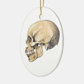 illustratie van de anatomie van de schedel keramisch ornament (Links)
