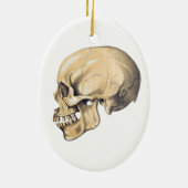 illustratie van de anatomie van de schedel keramisch ornament (Achterkant)