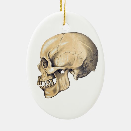  illustratie van de anatomie van de schedel keramisch ornament (Achterkant)