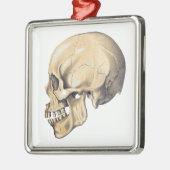 illustratie van de anatomie van de schedel metalen ornament (Links)
