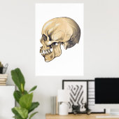  illustratie van de anatomie van de schedel poster (Thuiskantoor)