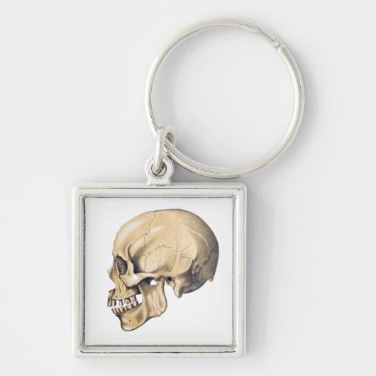  illustratie van de anatomie van de schedel sleutelhanger (Voorkant)